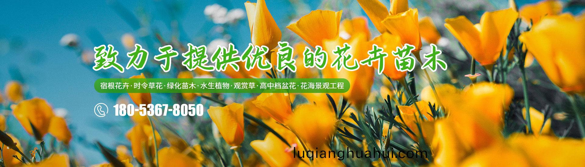 青州冠森花卉园艺有限公司